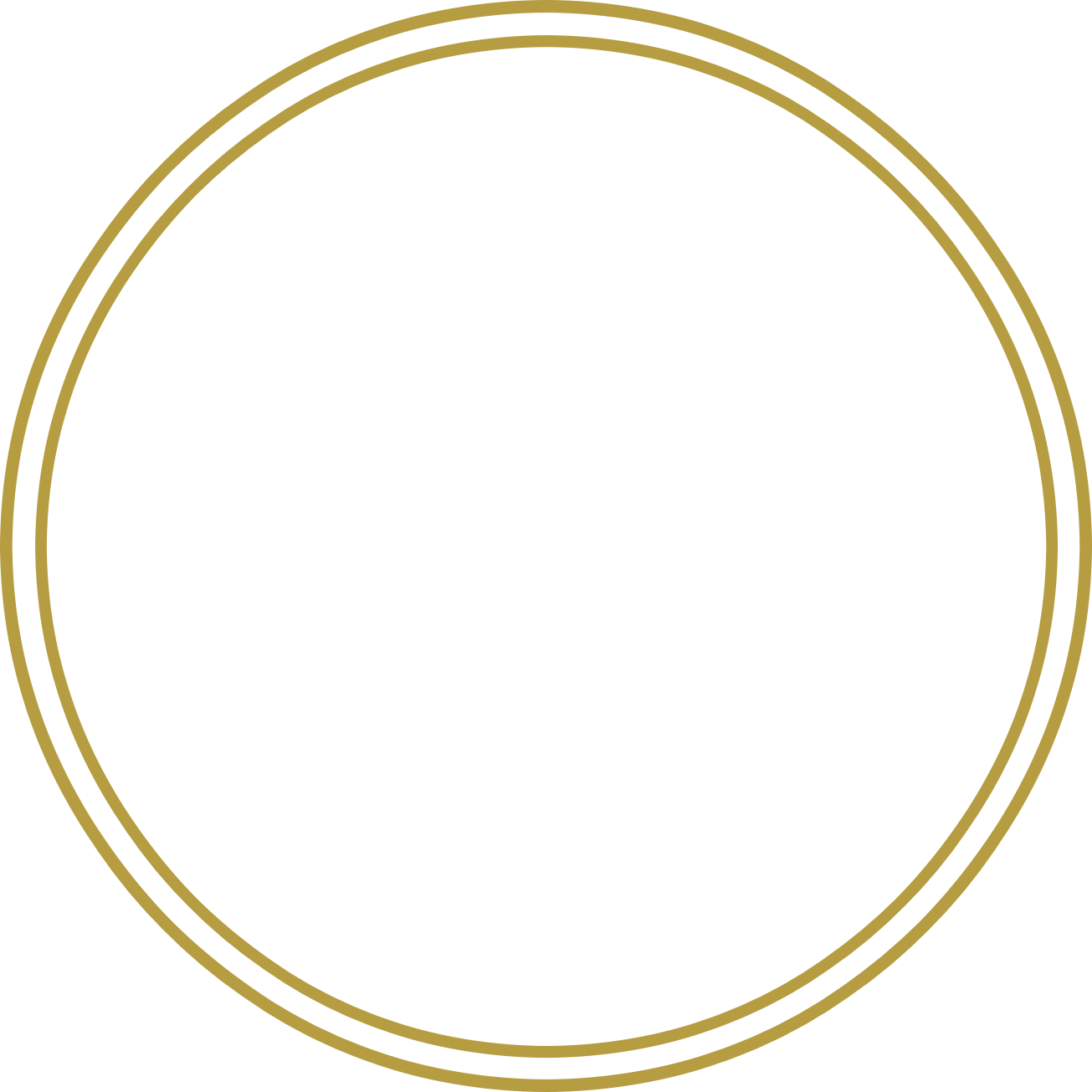 Bilden visar en guldig ring